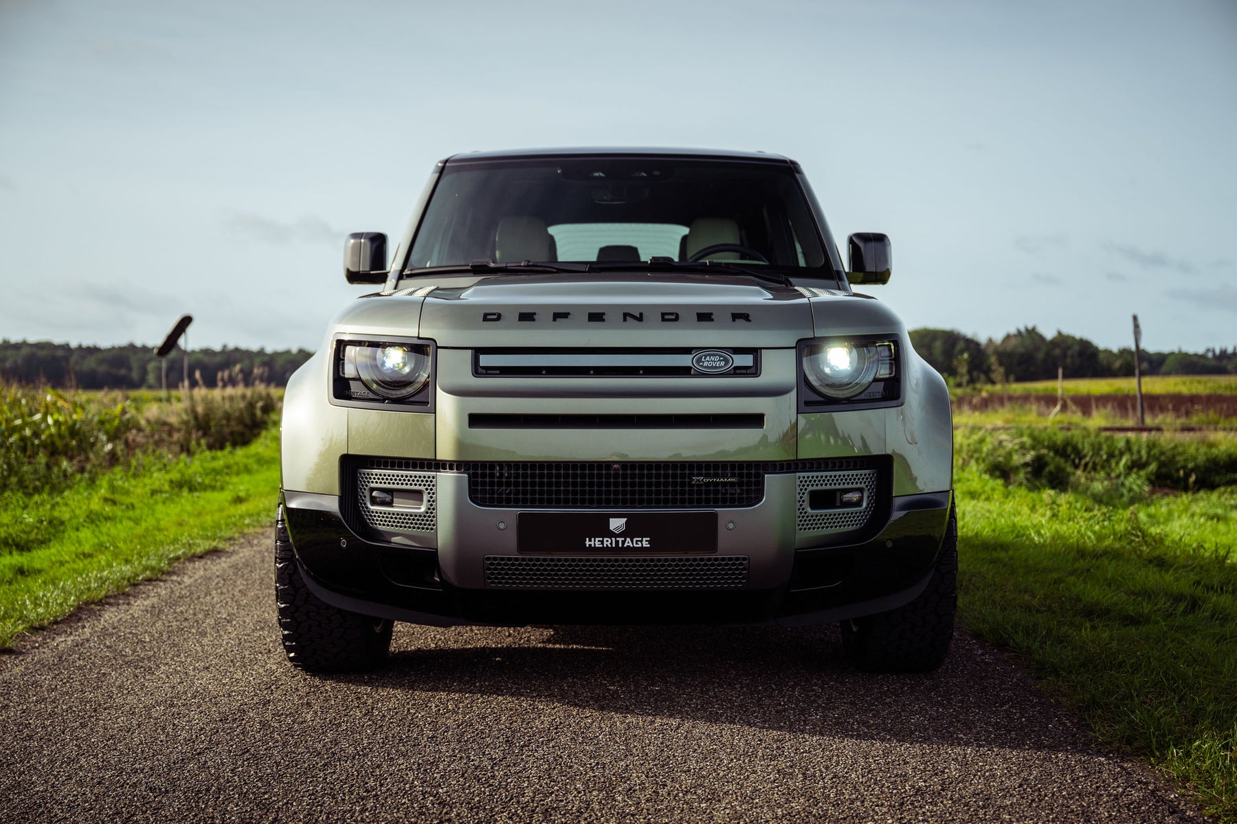 Defender 110 P400e - Pangea green