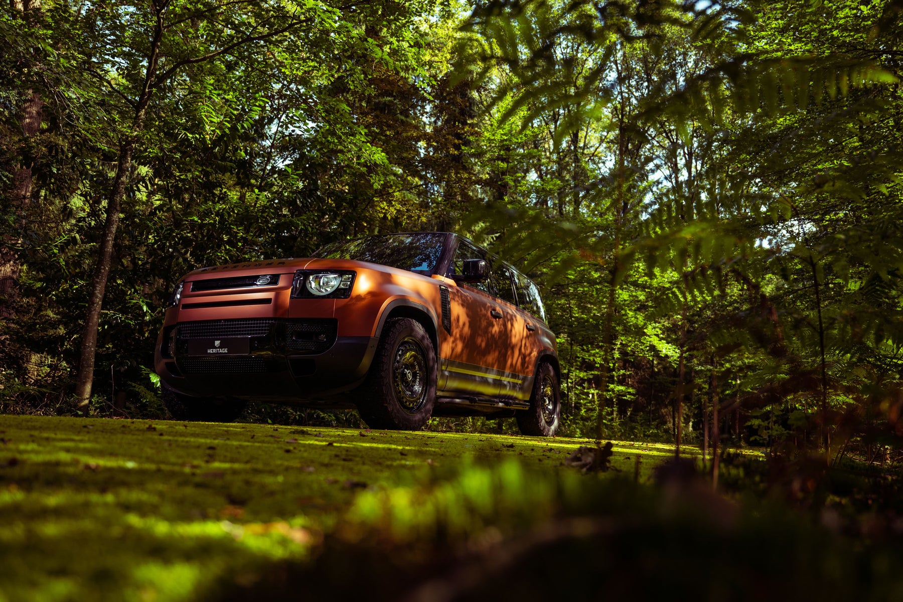 Defender 110 P400e - Autumn