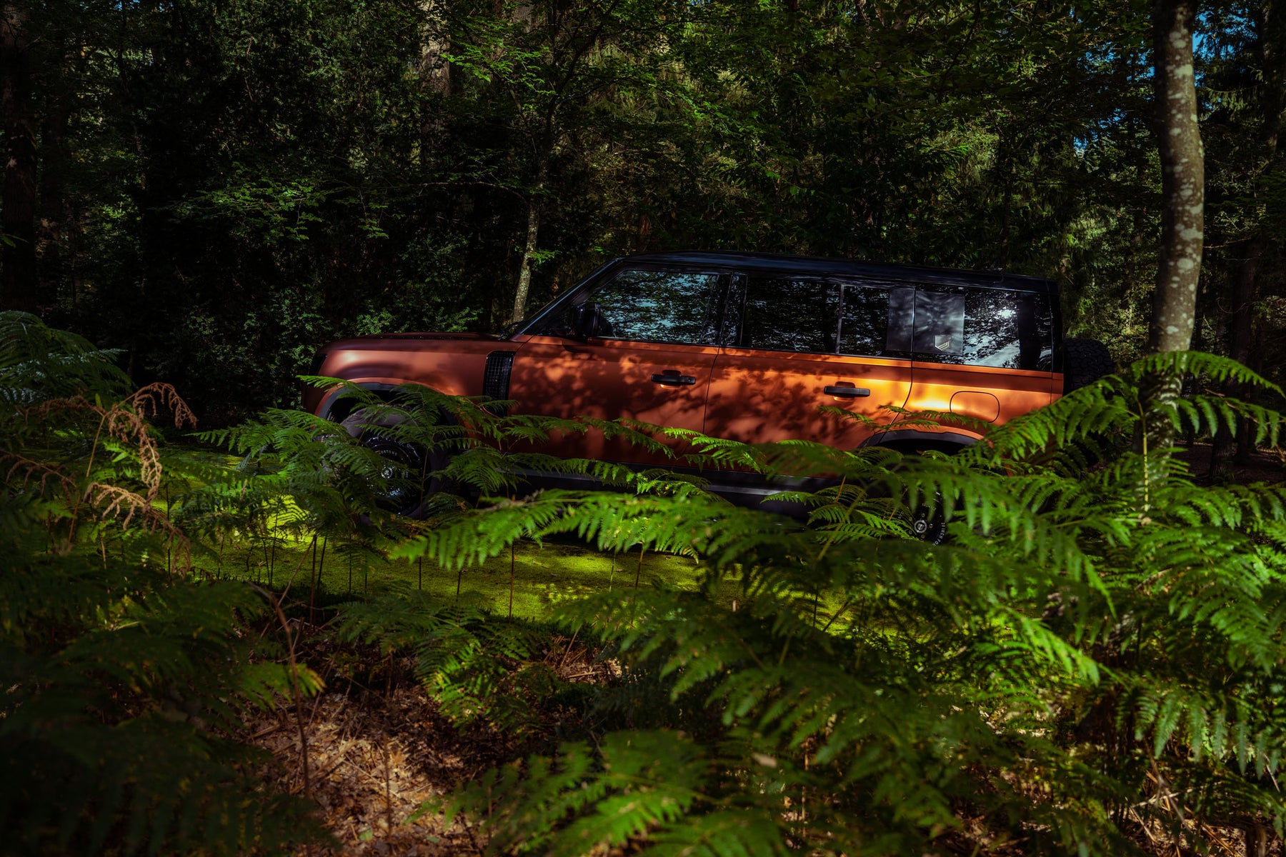 Defender 110 P400e - Autumn