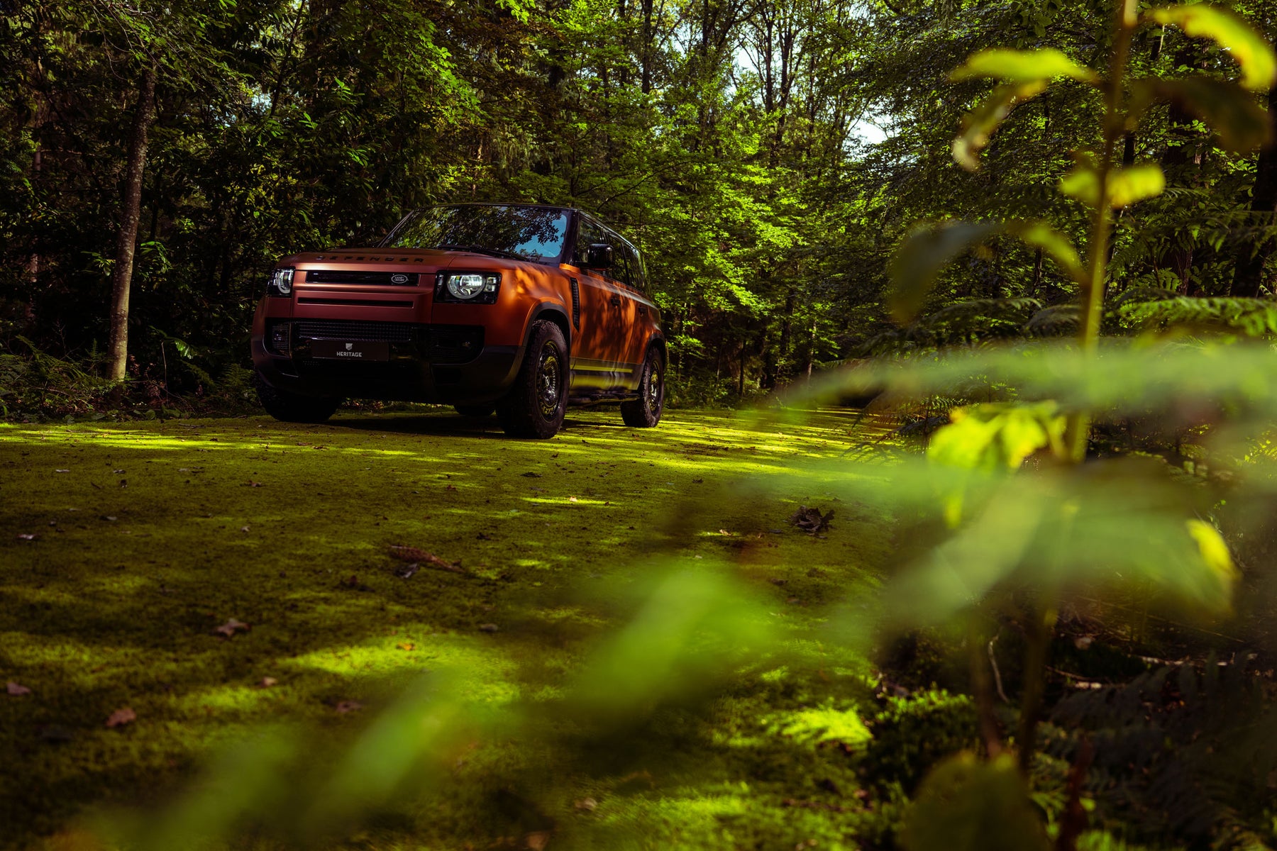 Defender 110 P400e - Autumn