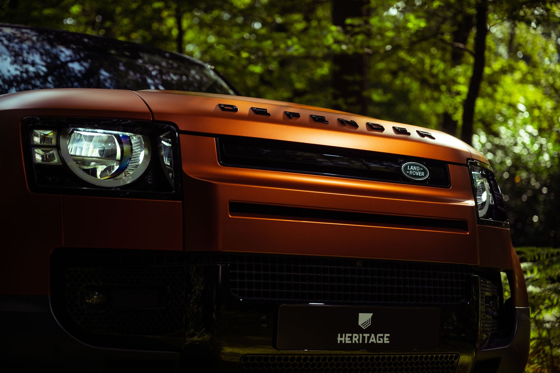 Defender 110 P400e - Autumn