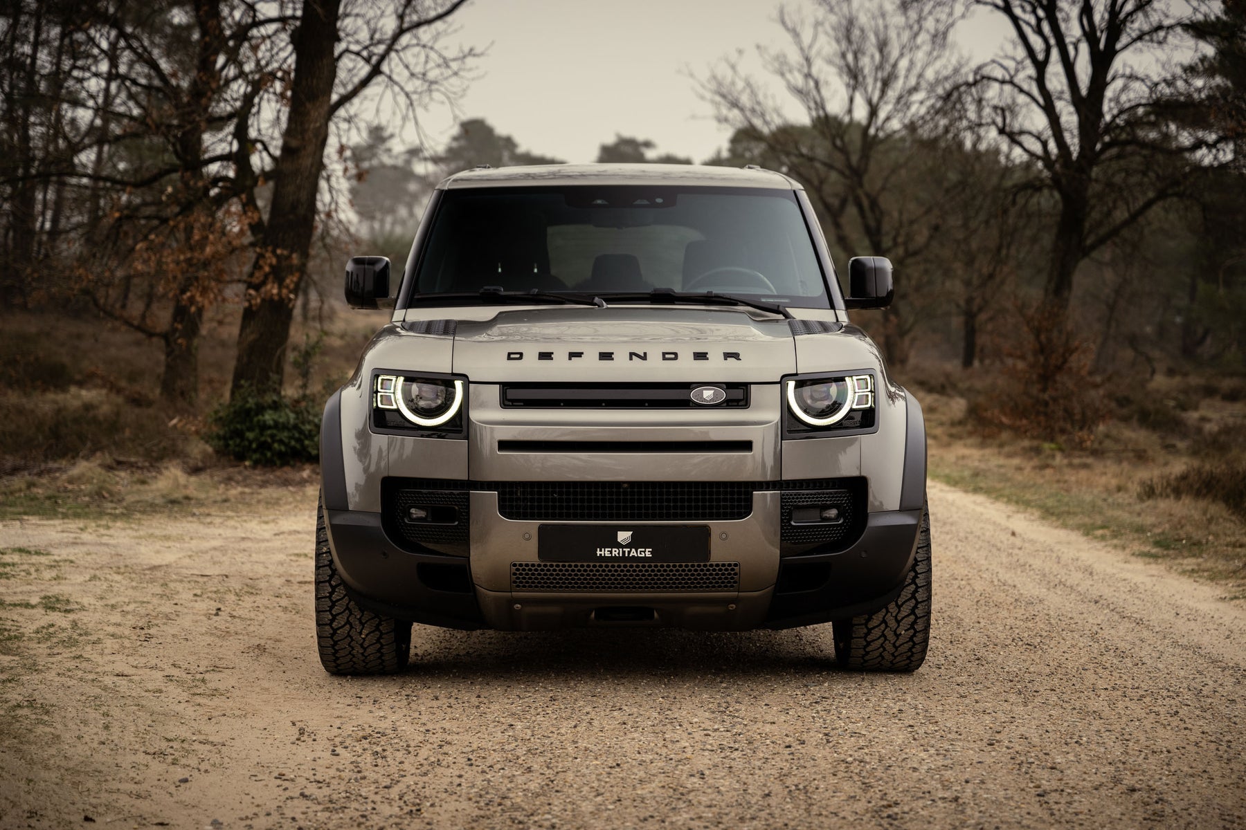Defender 110 P400e - Silicon Silver
