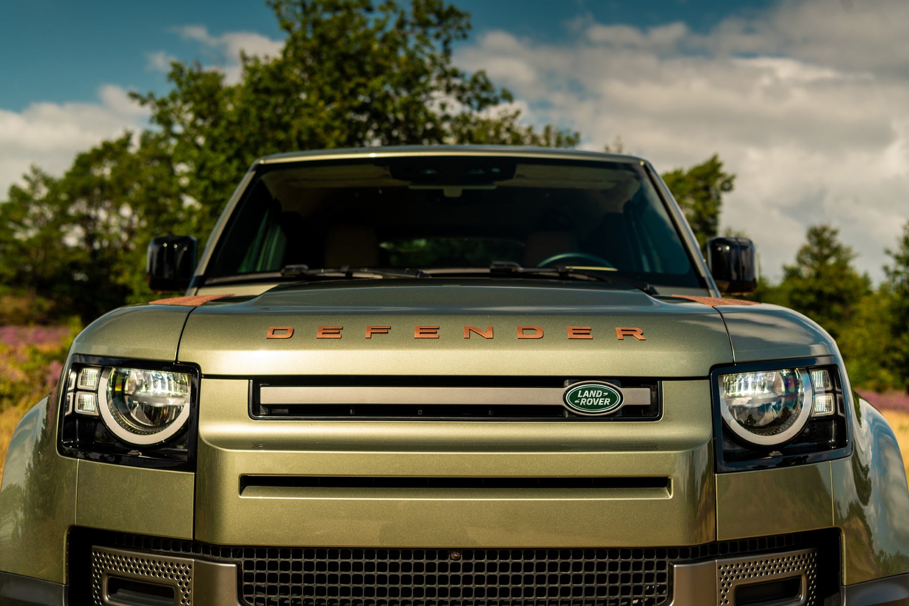 Defender 110 P400 - Pangea green