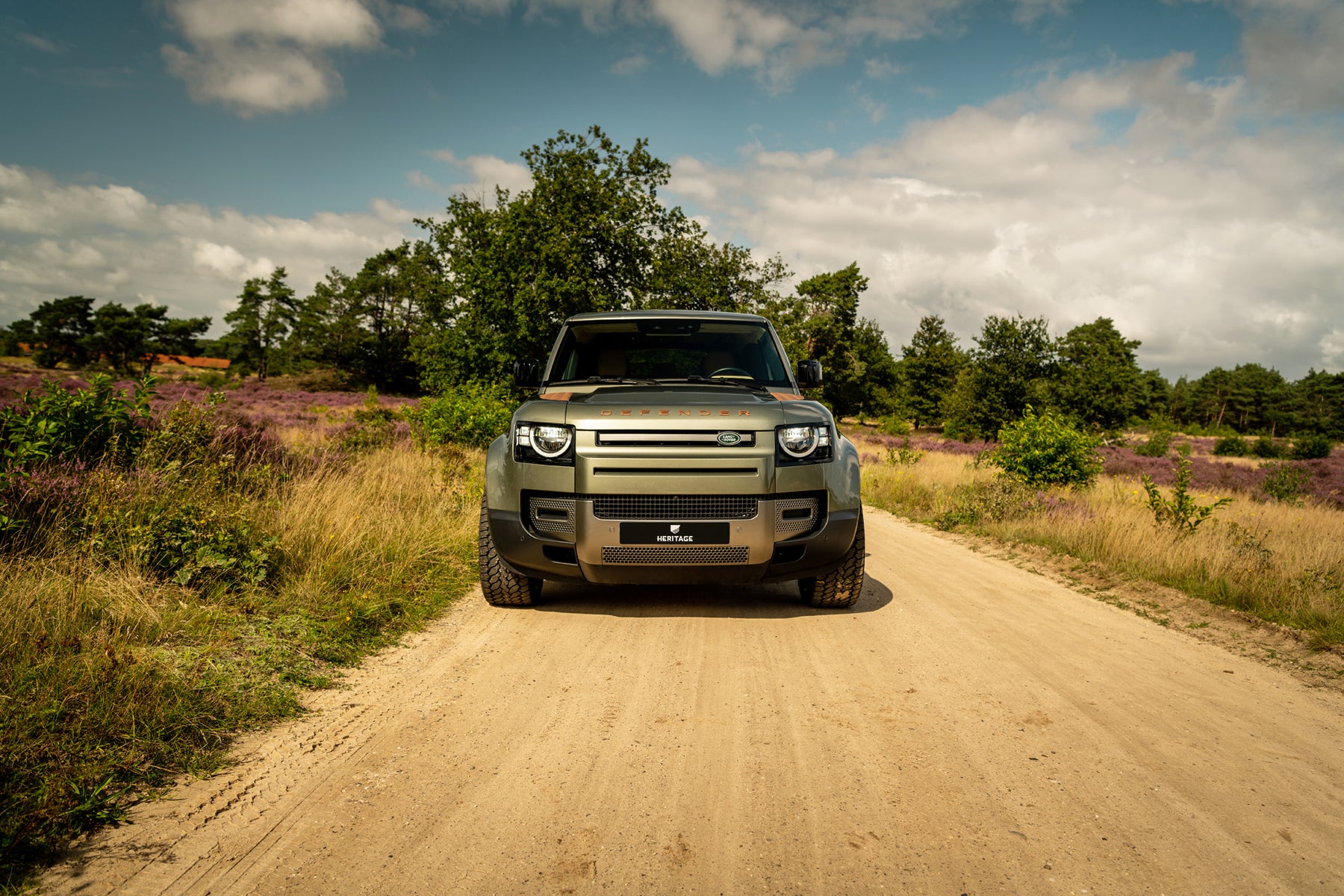 Defender 110 P400 - Pangea green