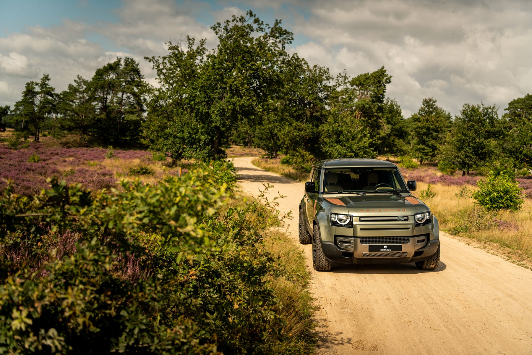 Defender 110 P400 - Pangea green