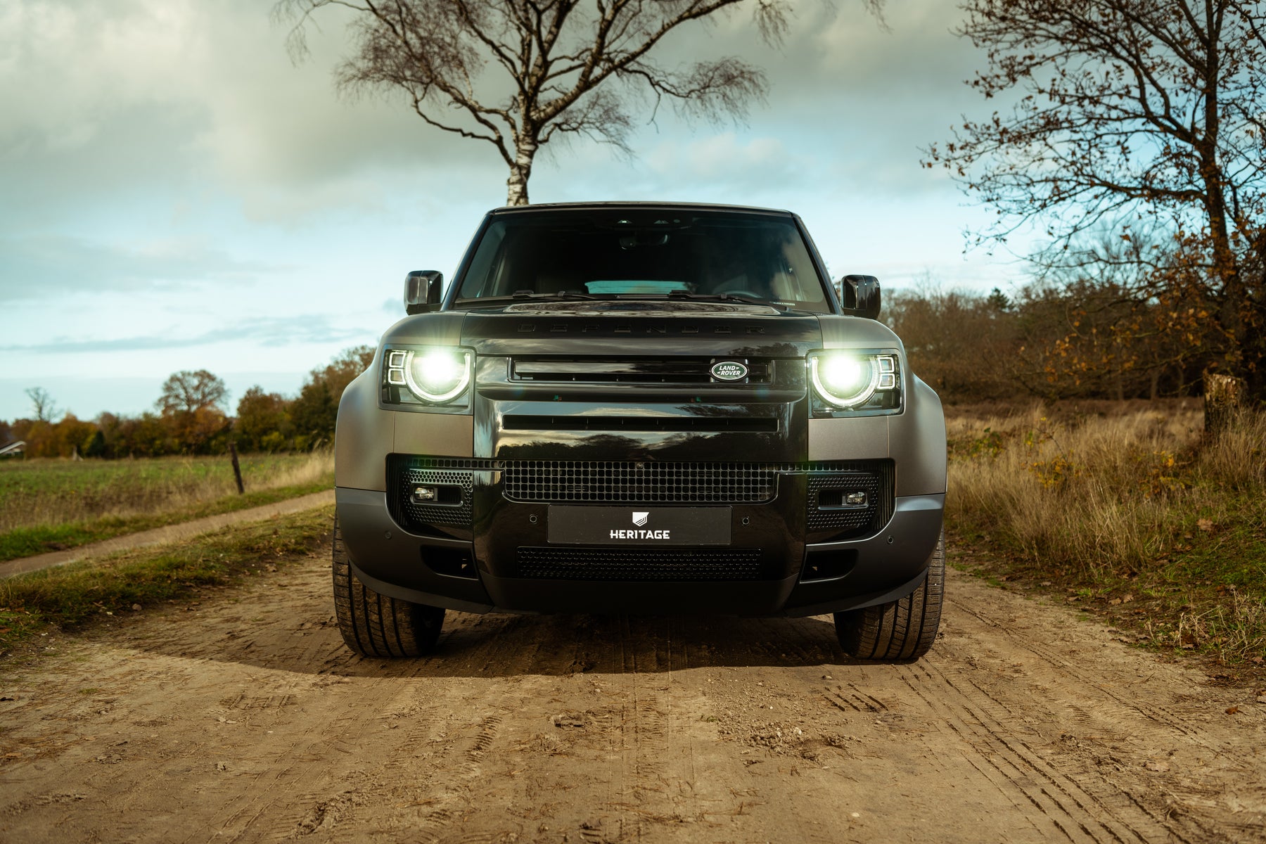 Defender 110 - Magic Bronze