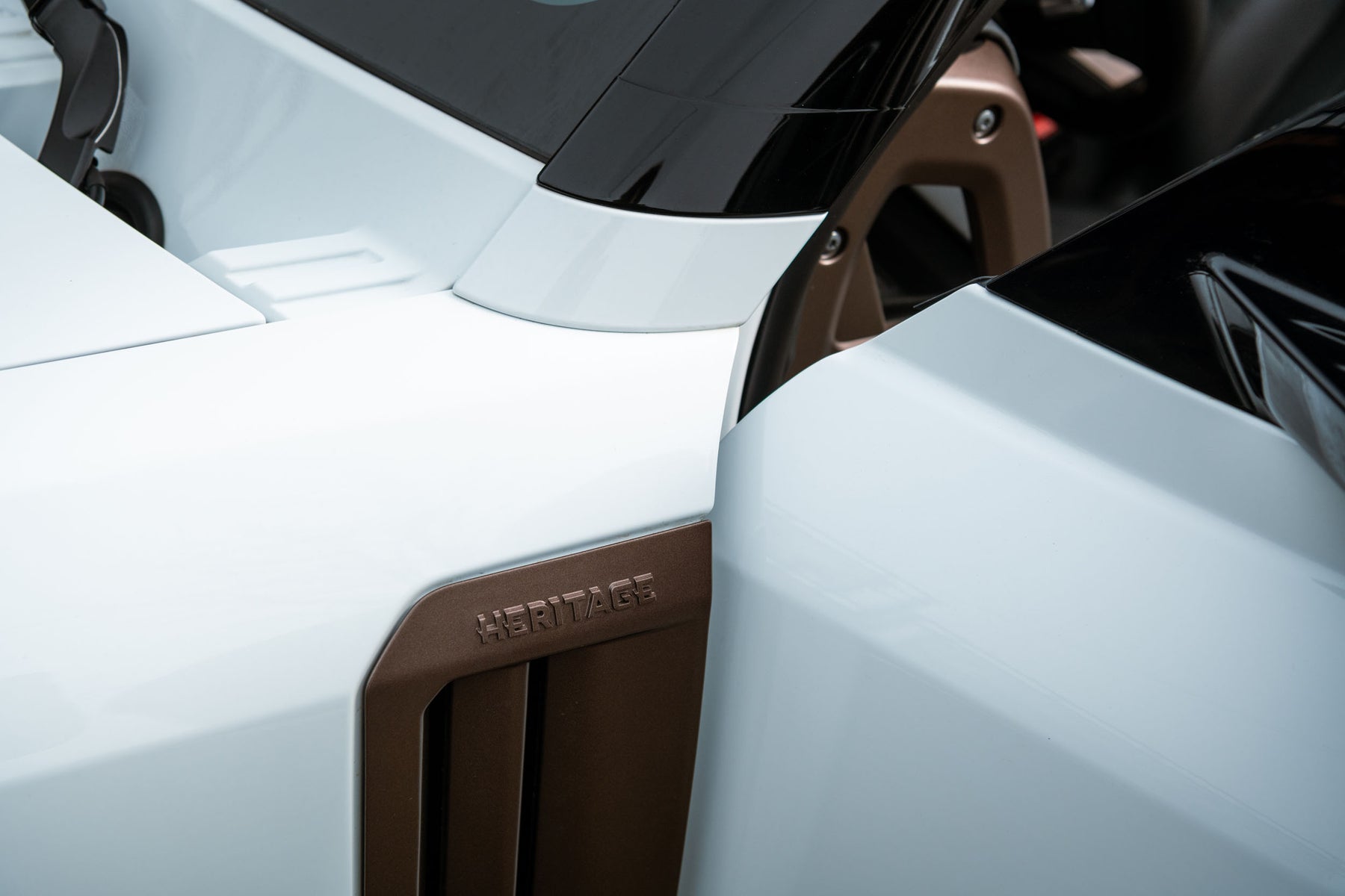 Dynamic - exterior decal pack