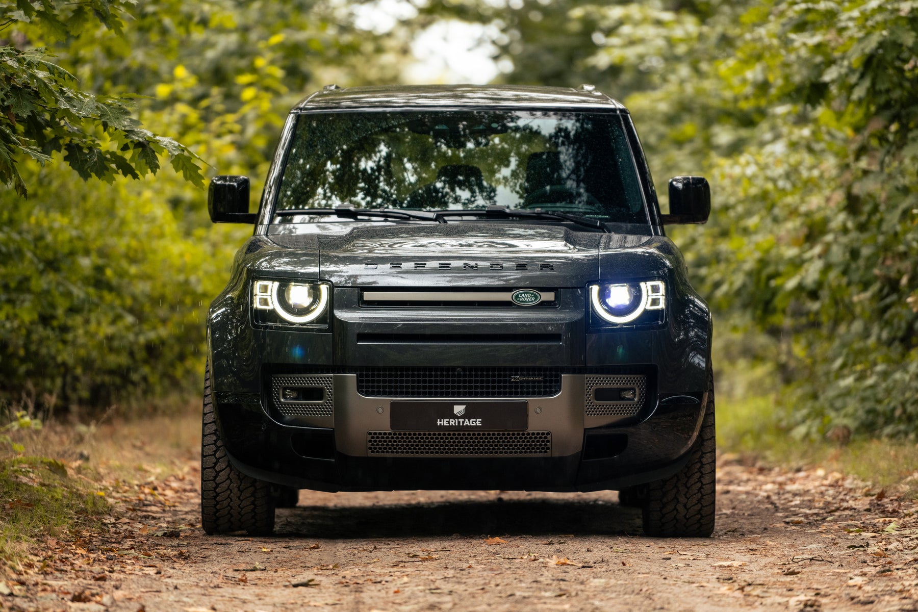 Defender P400e - Carpathian King