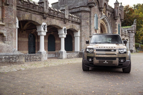 Defender 90 D200 - Gondwana stone