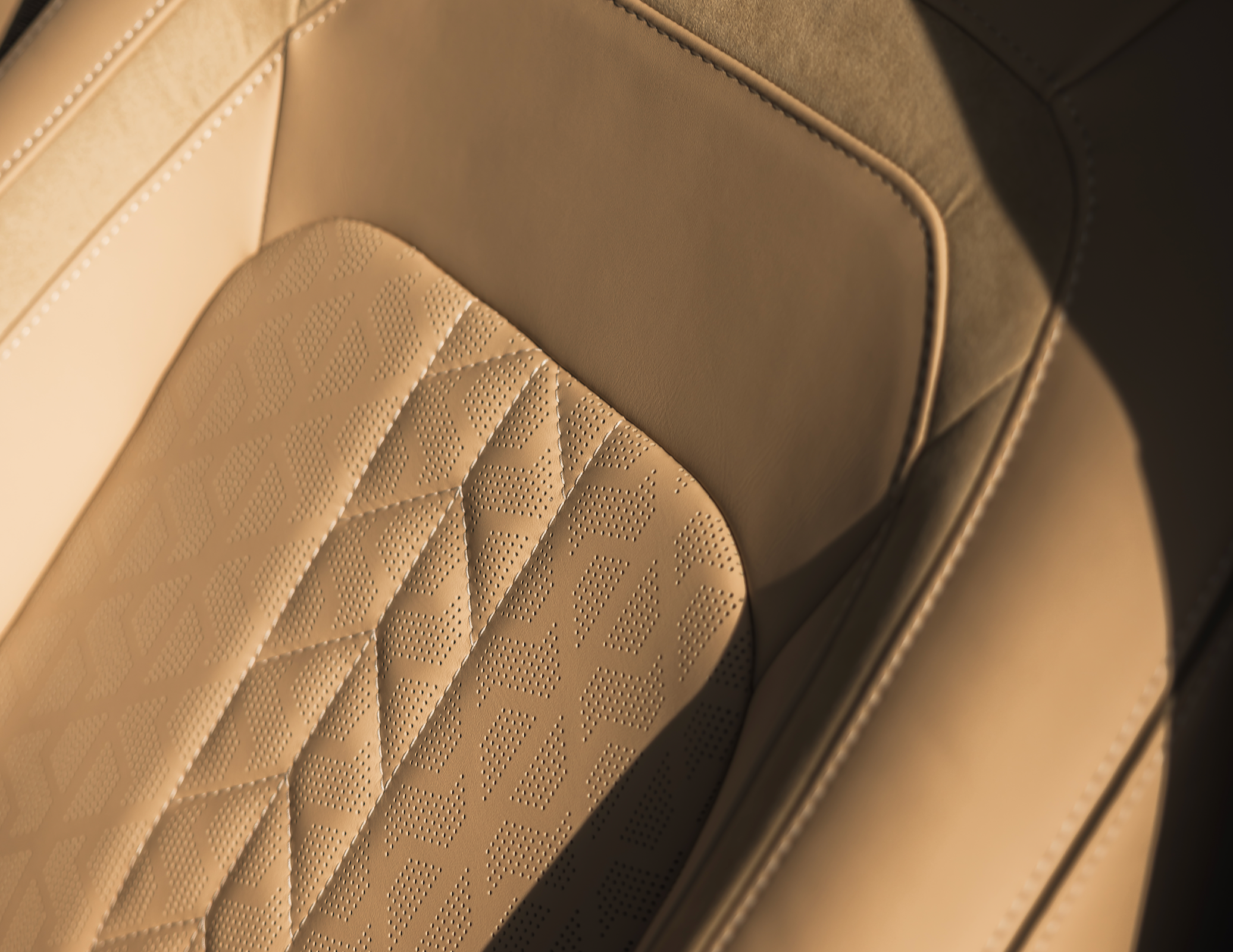 Leather premium pack - dynamic pattern